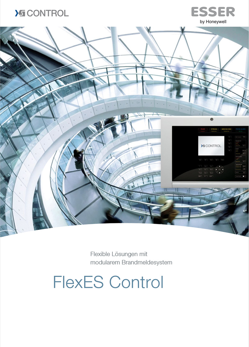 FLEXES Flyer